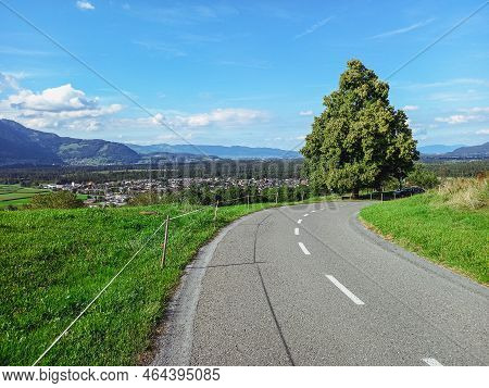 A Beautiful Tree And The Road To Feldkirch