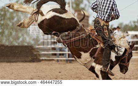 Cowboy Riding A Bucking Saddle Bronc At A Country Rodeo Australia