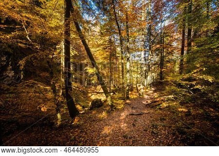 Mala Fatra Rozsutec Mountains Landscape