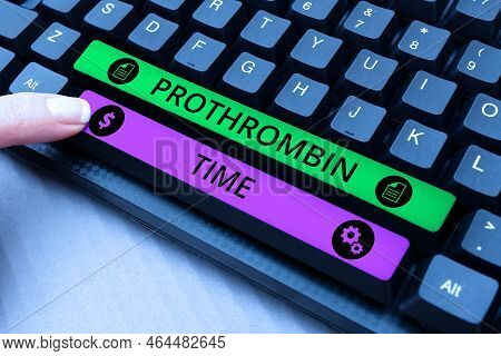 Writing Displaying Text Prothrombin Time. Business Concept State Of The Relationship Between The Pub