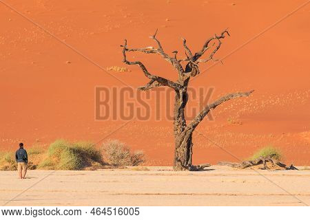 Deadvlei, Namibia - 30 September 2018 : Tourists In Deadvlei, White Clay Pan Located Inside The Nami