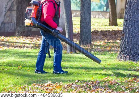 Leaf Blower Male Worker Removes Leaves Lawn Of Garden Autumn. Removing Fallen Leaves In Autumn. Park