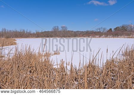 Frozen Marsh In The Winter In Crabtree Nature Preserve In Illinois