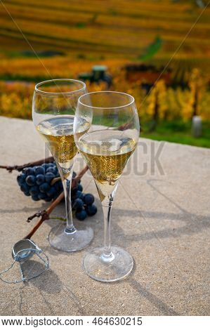 Tasting Of White Brut Champagne Wine Outdoor With View On Colorful Autumn Pinot Noir Grand Cru Viney