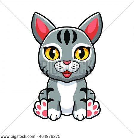 Vector Illustration Of Cute Manx Cat Cartoon Sitting