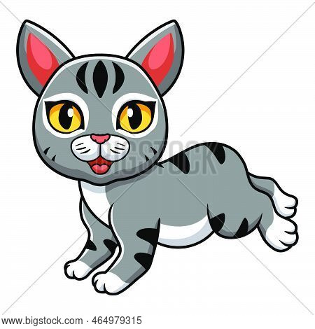 Vector Illustration Of Cute Manx Cat Cartoon Walking