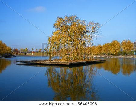 autumn