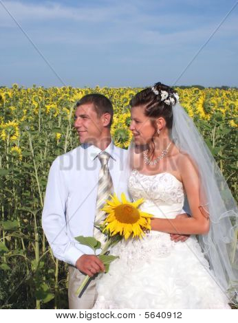 新婚夫婦のひまわり畑