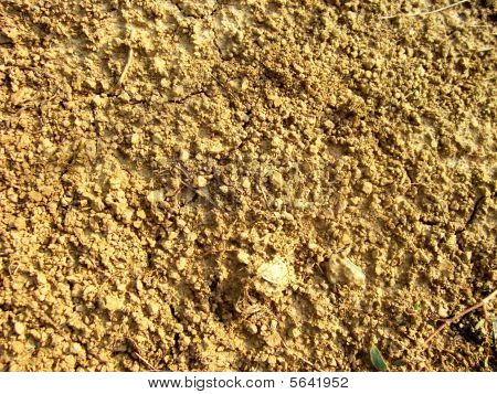 Terrain Dirt
