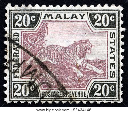 Frimærke Malaya 1905 Tiger, Panthera Tigris, dyr