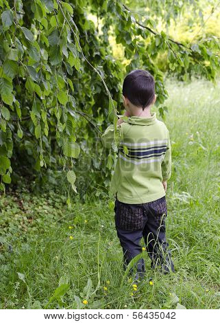 Child in nature