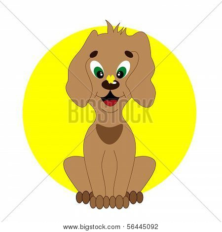 Puppy
