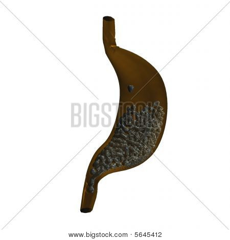 Acido Stomach.eps