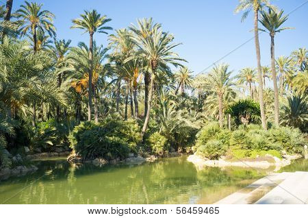 Alicante Palm Park