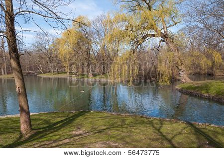 Spring In Park