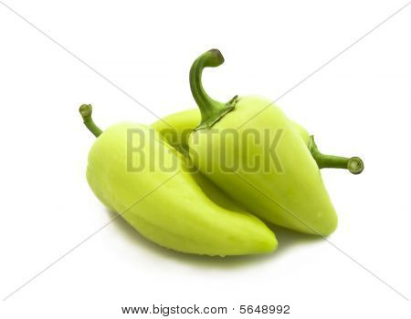 Tuore Green Pepper valkoisella pohjalla