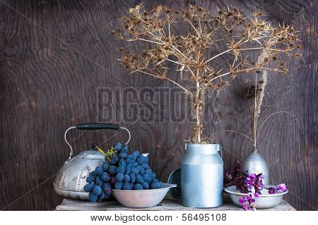 Still Life With Dry Prairie Prickly Flowers And Grapes