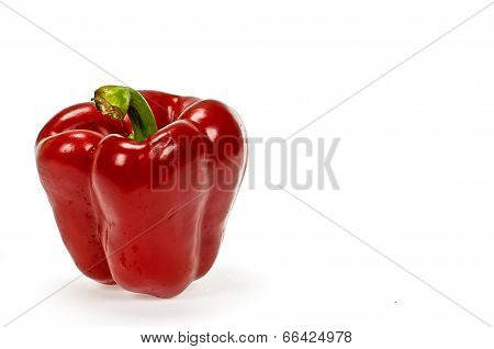 Red Sweet Bell Peppers Isolated On White Background  Sweet Bell Peppers Isolated On White Background