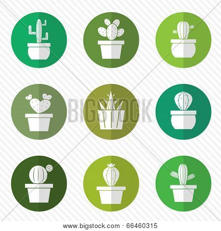 Vector Group Of Cactus In The Circle