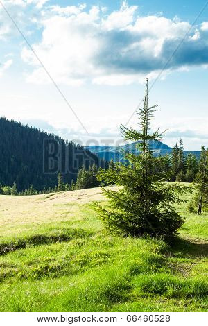 Mountain Landscape