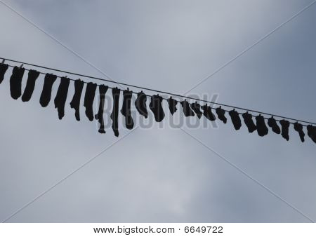 czarny sox