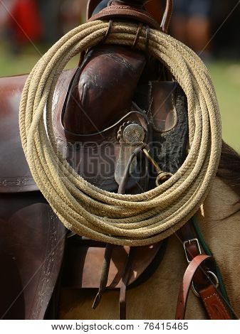 RODEO ROPE