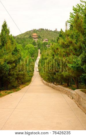 Long Path