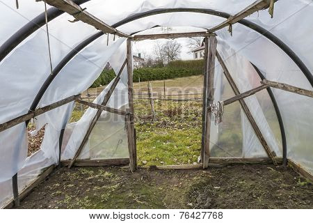 View From Greenhouse