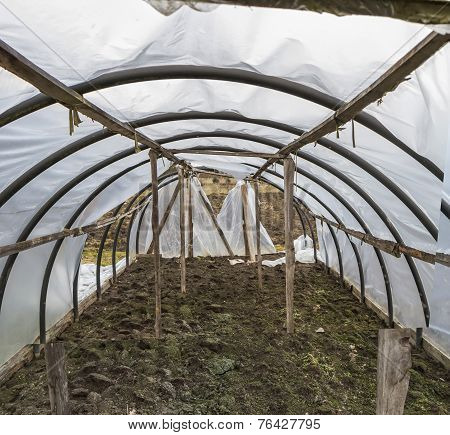 Greenhouse In Farm