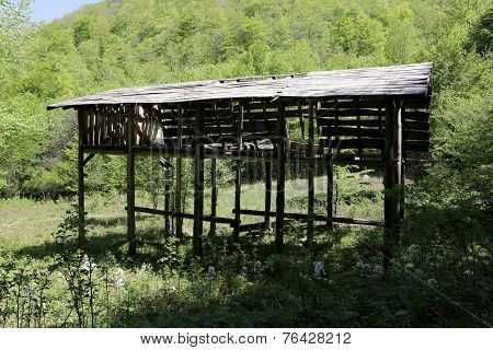 Wooden Shelter In The Woods