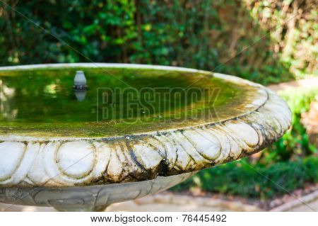 garden birdbath