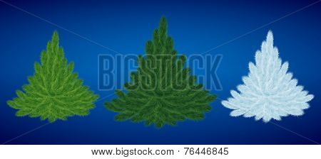 Christmas Tree Collection