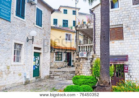 Walking In Herceg Novi