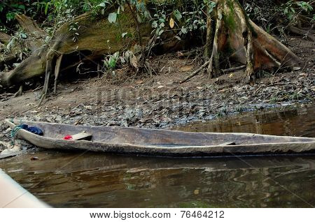 Dugout Canoe In Cuyabeno Reserve!