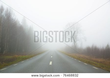 Road In Fog