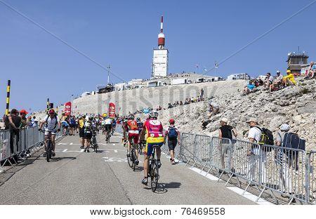 Amateur Cyclists On Mont Ventoux