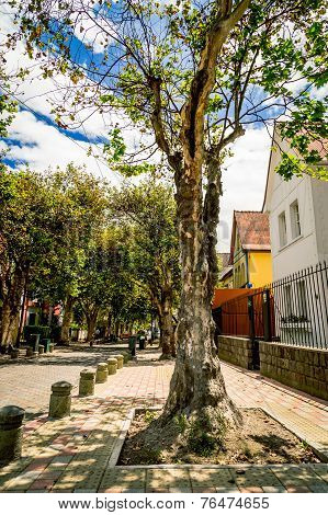 picturesque street in Quito Ecuador South America
