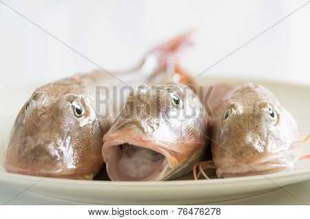 Fresh fish  with red scales