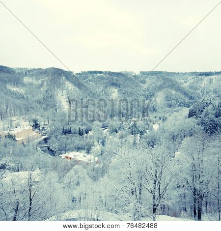 Winter On Forest Hills (Chezh Republic).