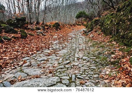 Mountain Roman Road