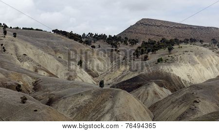 Pastoral Morocco
