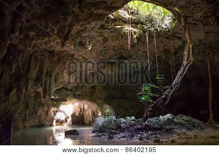Inside A Cenote Pet Cementery, Tulum Riviera Maya, Traveling Mexico.