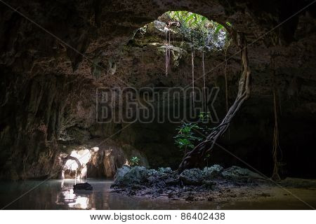 Inside A Cenote Pet Cementery, Tulum Riviera Maya, Traveling Mexico.