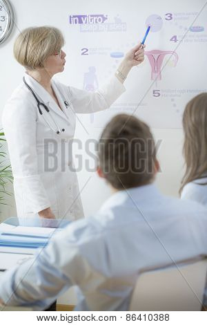 Gynecologist Explaining In Vitro Process