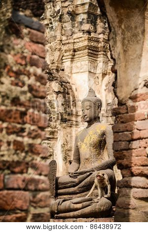 Buddha Image