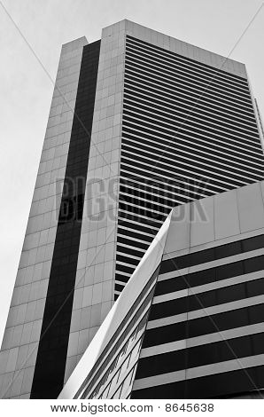Sky Scrapper