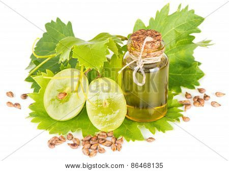 Products For Grape Seed Oil