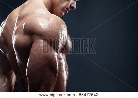 Muscled Male Model Showing His Back