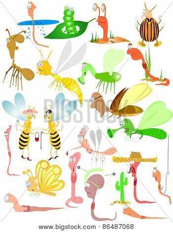 bugs insect beetles worm characters