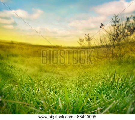 Spring Background